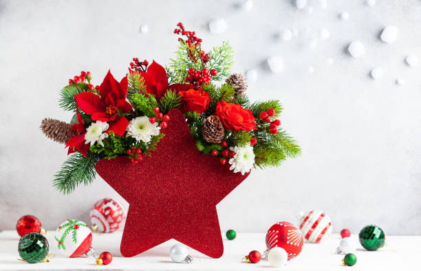 Christmas flower