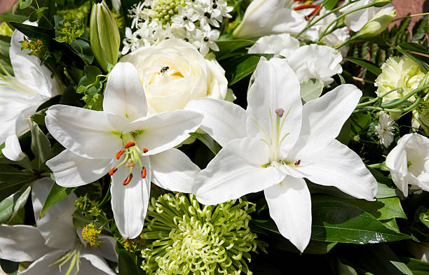 Online Flower Delivery in Singapore