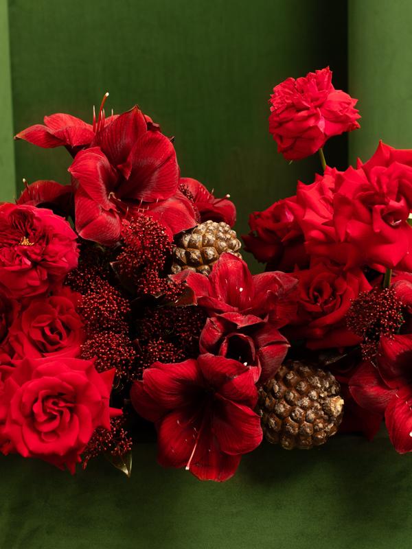 Christmas Flowers