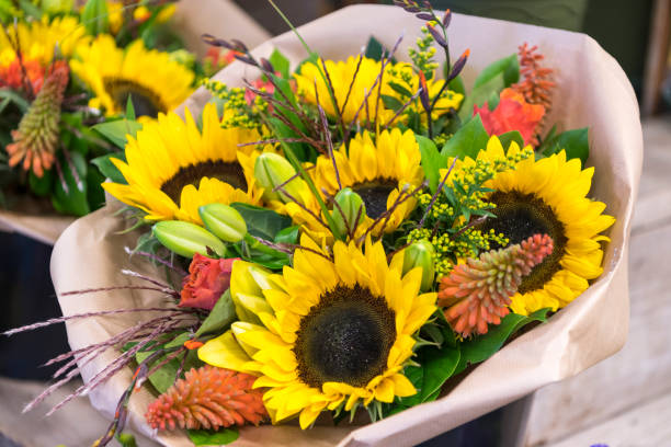 Sunflowers 