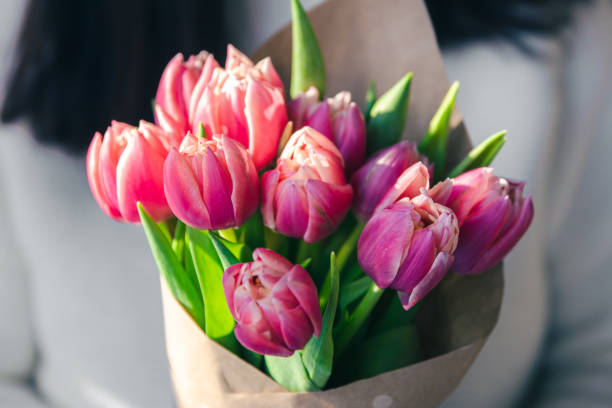 Tulips flower