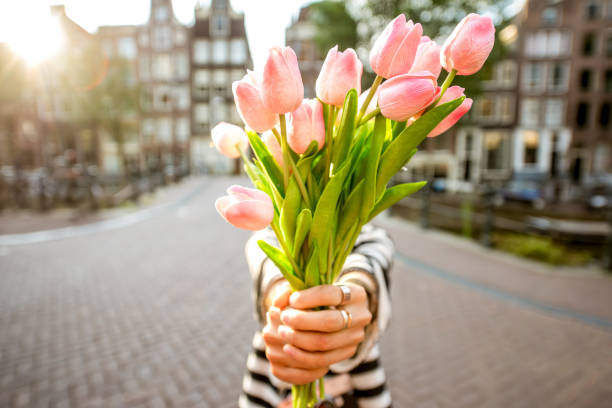 Tulips Flowers Singapore