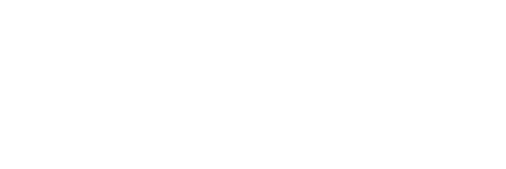 Bliss Flowers Boutique